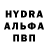 COCAIN Columbia Aijan Abdyldaeva
