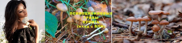 mix Бронницы
