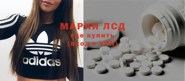 эйфоретик Бородино