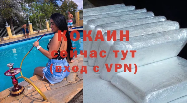 эйфоретик Бородино