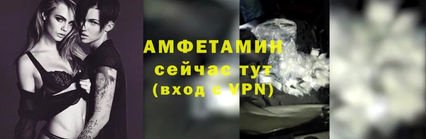 эйфоретик Бородино