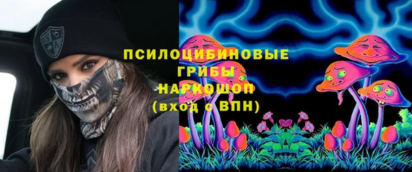 ГАЛЛЮЦИНОГЕННЫЕ ГРИБЫ Верхнеуральск