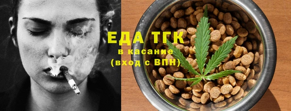 эйфоретик Бородино