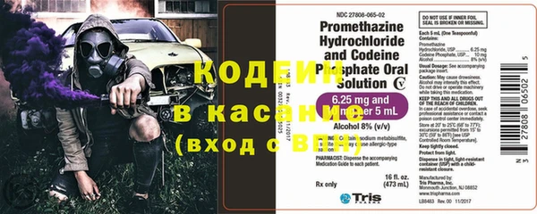 эйфоретик Бородино